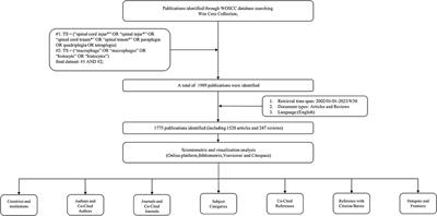 Frontiers | Bibliometric And Visual Analysis Of Spinal Cord Injury ...